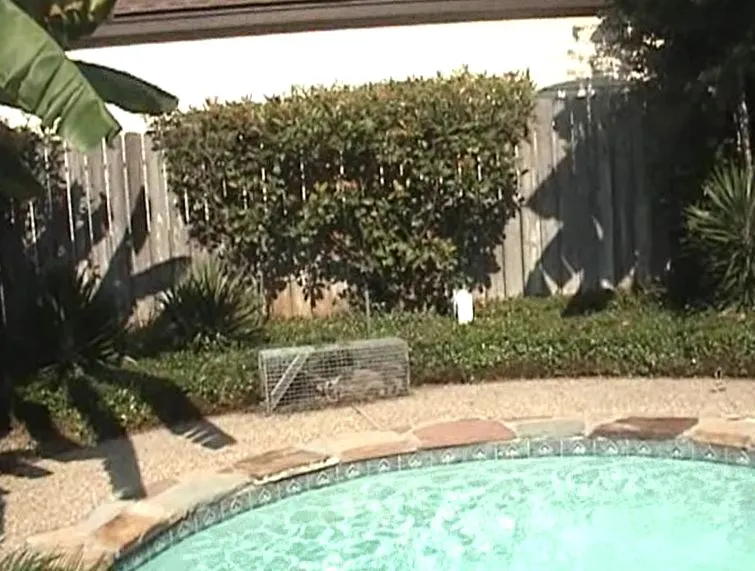 %EC%BA%A1%EC%B2%982.JPG?type=w1