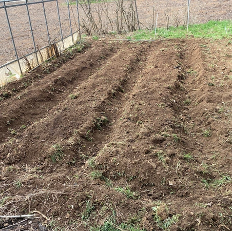 SE-971990c5-1649-441f-8d5a-498c70b3573c.jpg?type=w1