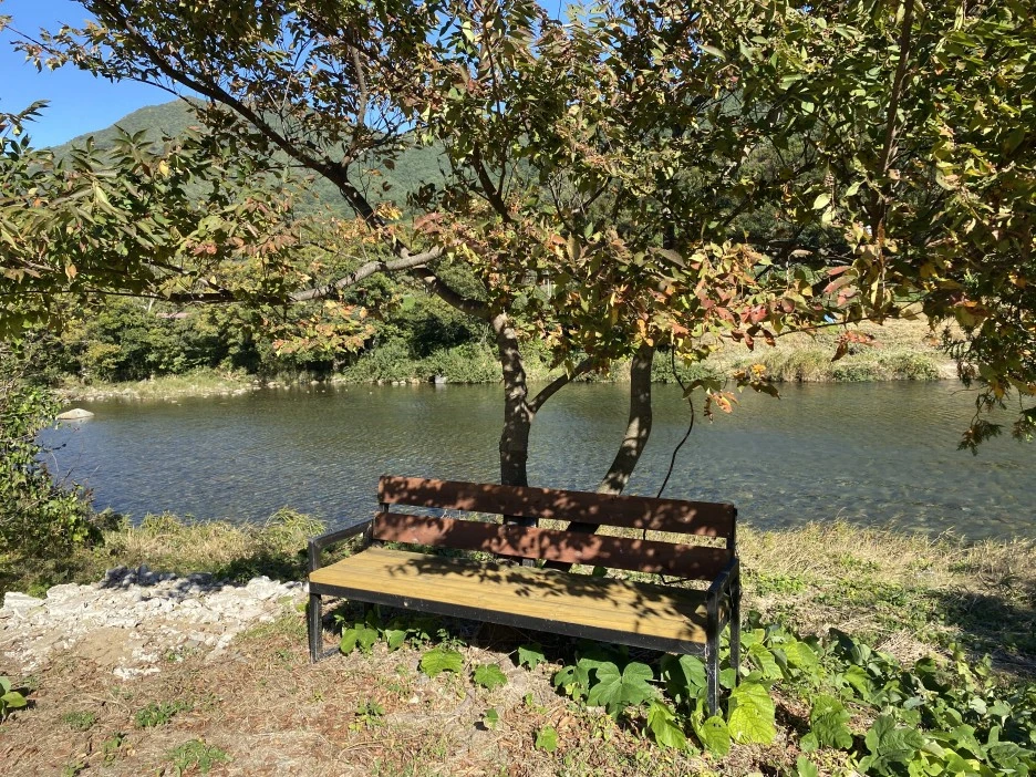 20221017_055605126_iOS.jpg?typew1