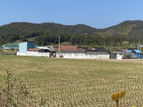 20231102_024616910_iOS.jpg?type=w466