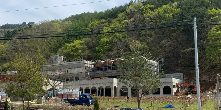 SE-bebd10f2-a2b0-4e1b-85fe-116b03a55074.jpg?type=w1