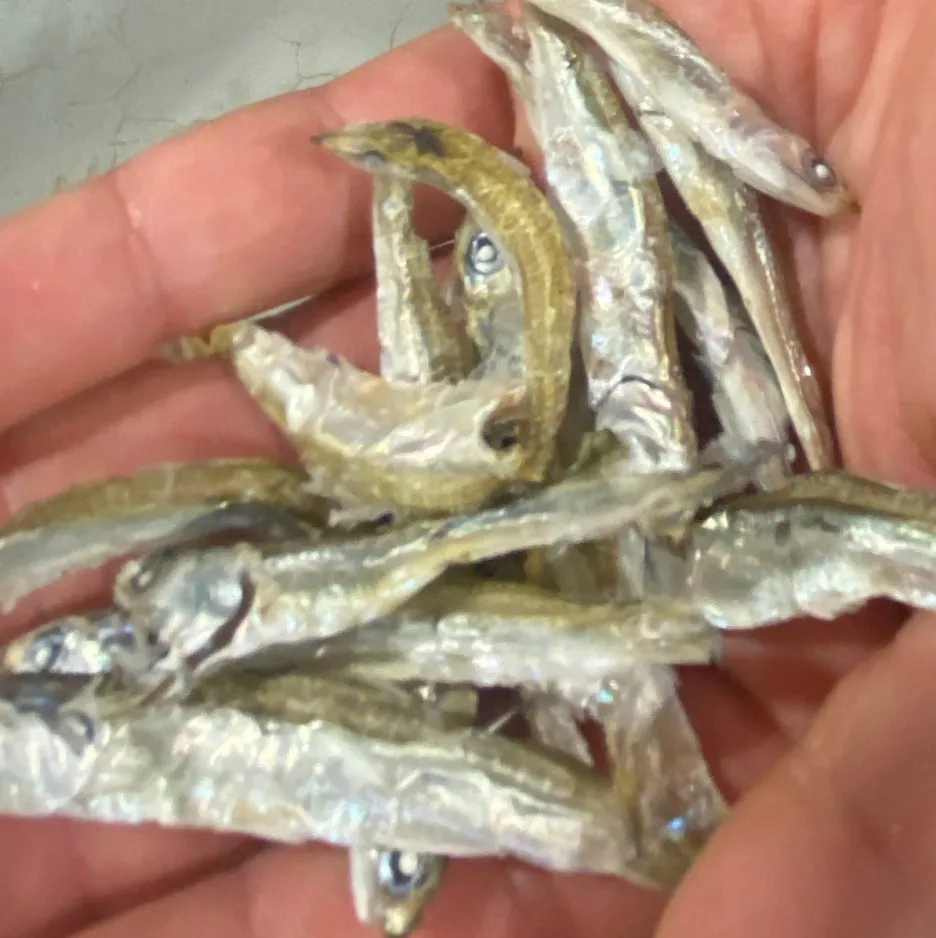 SE-28d0df4b-2d6b-46dd-b79a-fd0bd9545092.jpg?type=w1