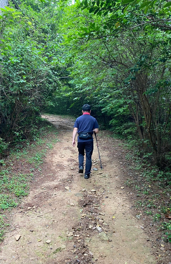 SE-7aa56888-4093-4615-a5e7-18cde0560f3b.jpg?type=w1