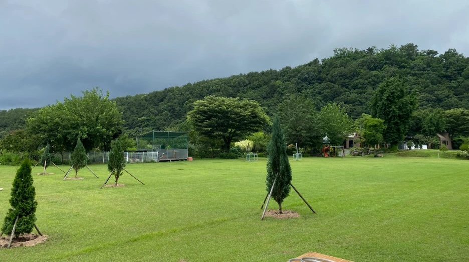 20230626_062804261_iOS.jpg?type=w1