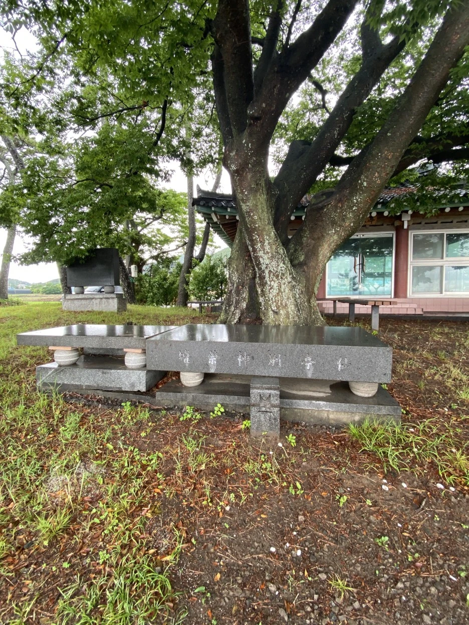 20220624_011321159_iOS.jpg?type=w1