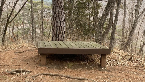 SE-3d578dd9-fdd4-4df7-85ef-9c257196d052.jpg?type=w1