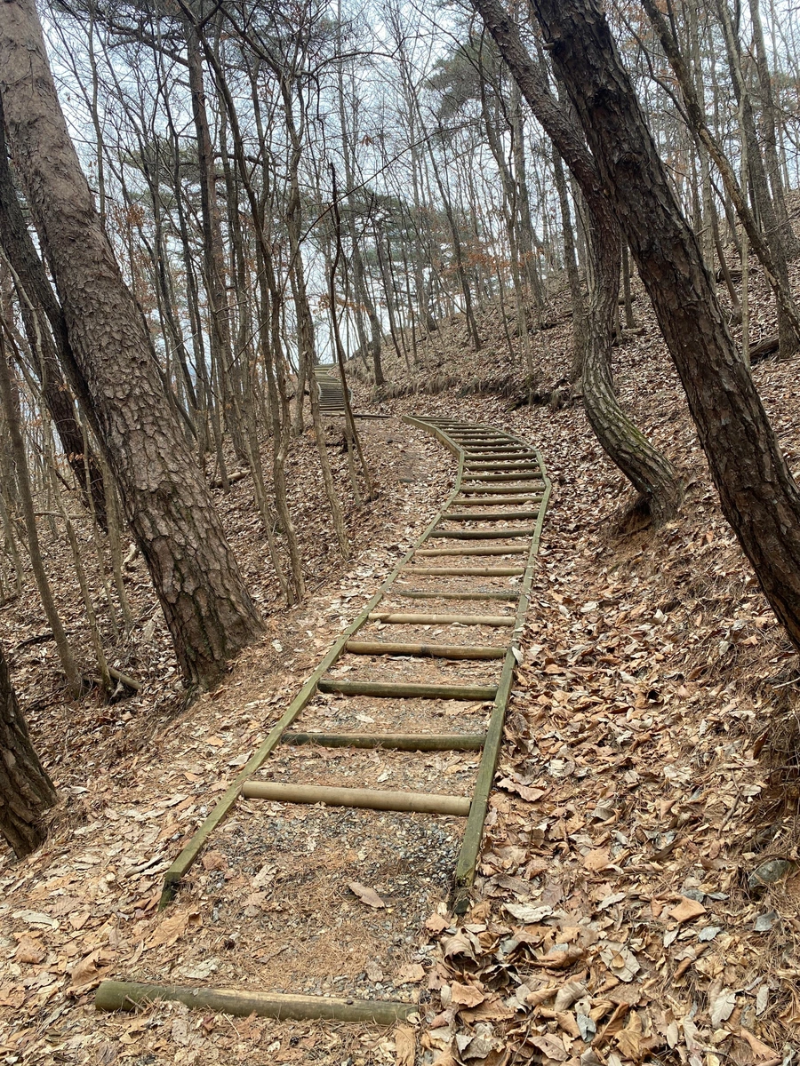 SE-4751c25c-f441-49dd-ab7b-387180be6262.jpg?type=w1