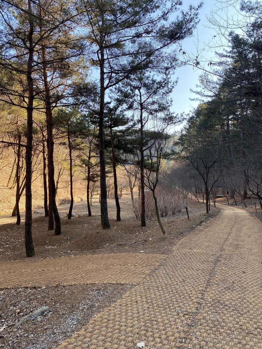 SE-23cf9fc2-b958-4821-9b08-ad4007ca3898.jpg?type=w1