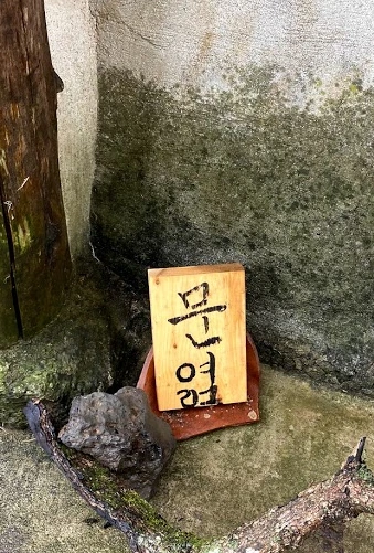 SE-529d325e-b95b-4510-b503-a1ddb0fb3cc5.jpg?type=w1