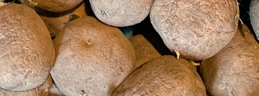 SE-5e35e43a-5051-423f-a680-ac66be650722.jpg?type=w1