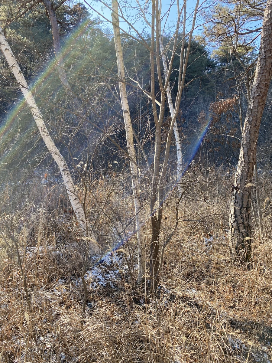 SE-b992ed42-126d-4801-89f7-b45d01f886a8.jpg?type=w1