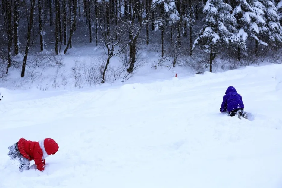 6m6okjnp.JPG?type=w1