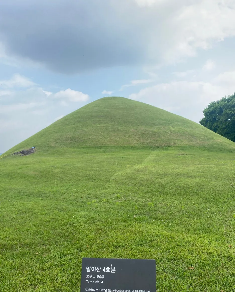 SE-ca20e921-4175-4077-8dda-40e8f4601191.jpg?type=w1