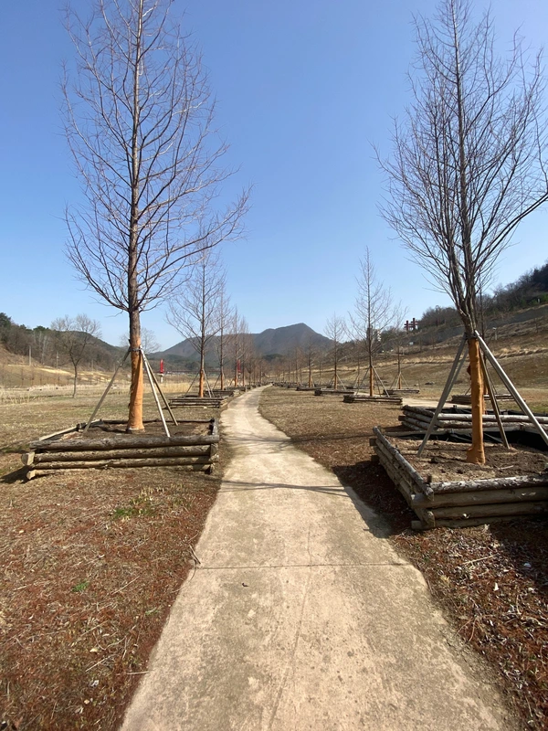 SE-360d19ed-d001-4b1e-9783-f3db0ff4d4b4.jpg?type=w1