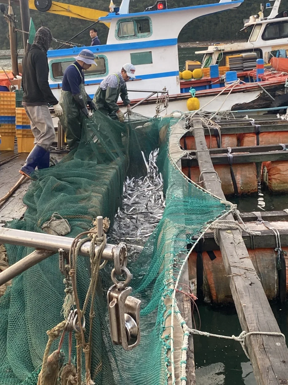 20240930_212852722_iOS.jpg?type=w1