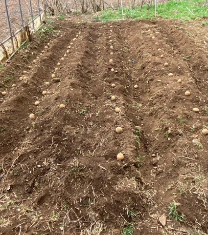 SE-b2957159-9879-40c3-a3a0-c52347acadac.jpg?type=w1