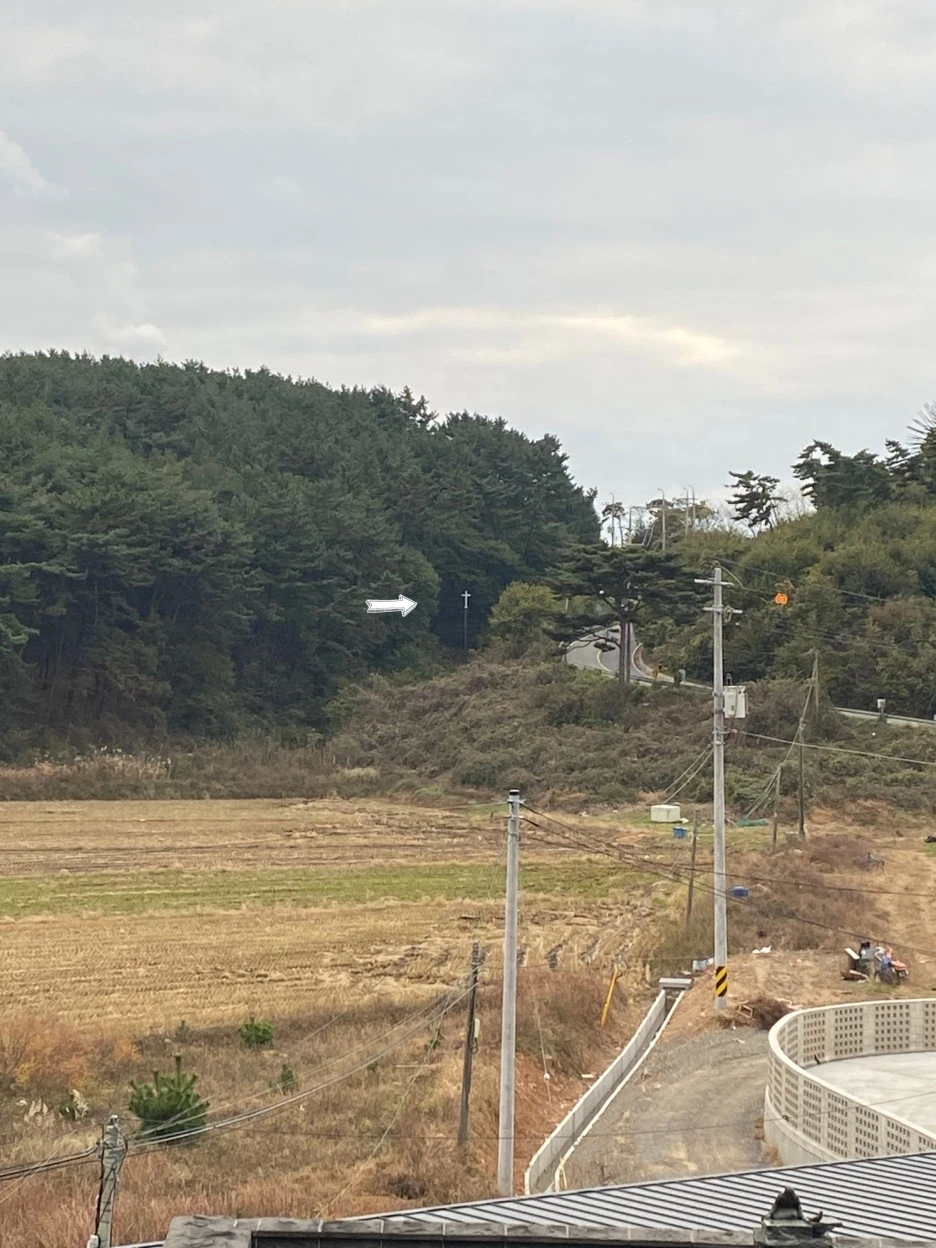 SE-216905b5-dd18-45ad-b73c-48cd29a1f82c.jpg?type=w1