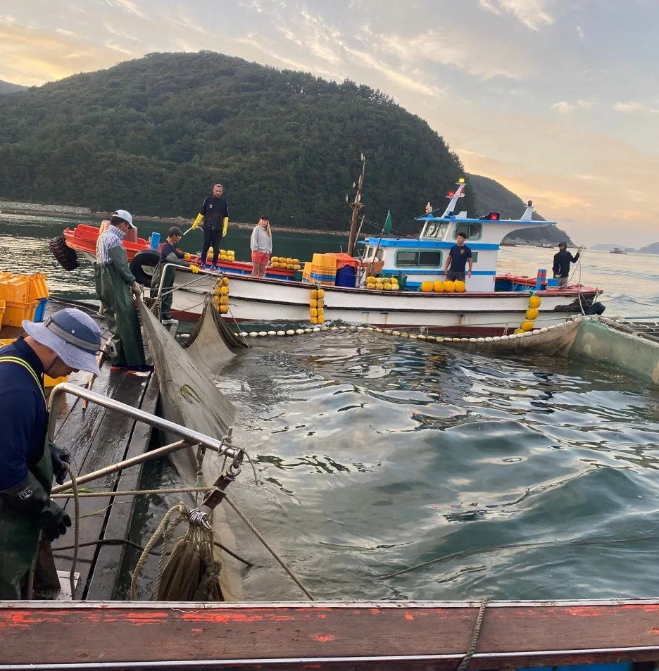 SE-b36e891f-fdb3-448f-9bc3-fae9e543640e.jpg?type=w1