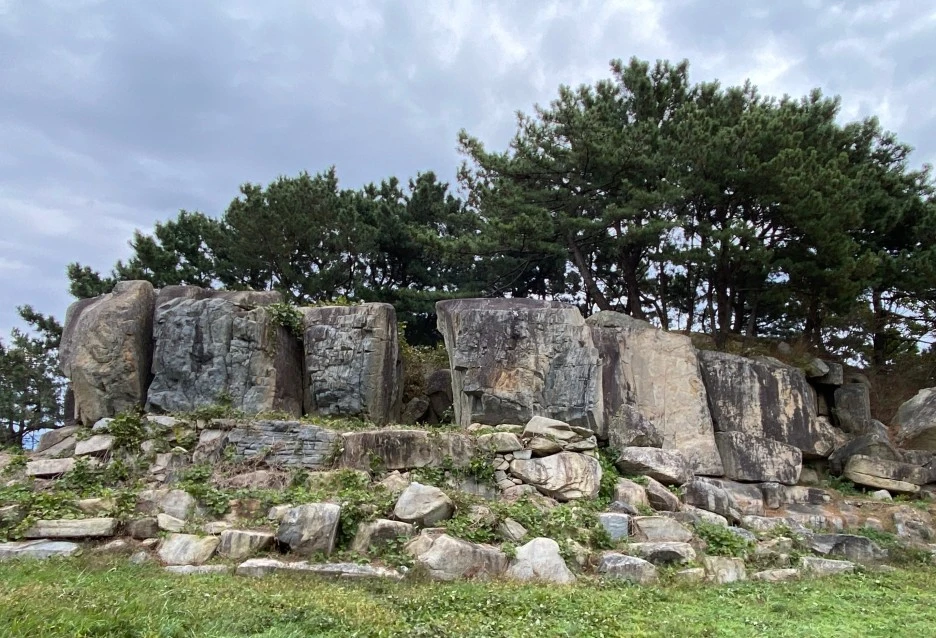 SE-553bc936-1edd-42f9-8adf-40204b86be22.jpg?type=w1