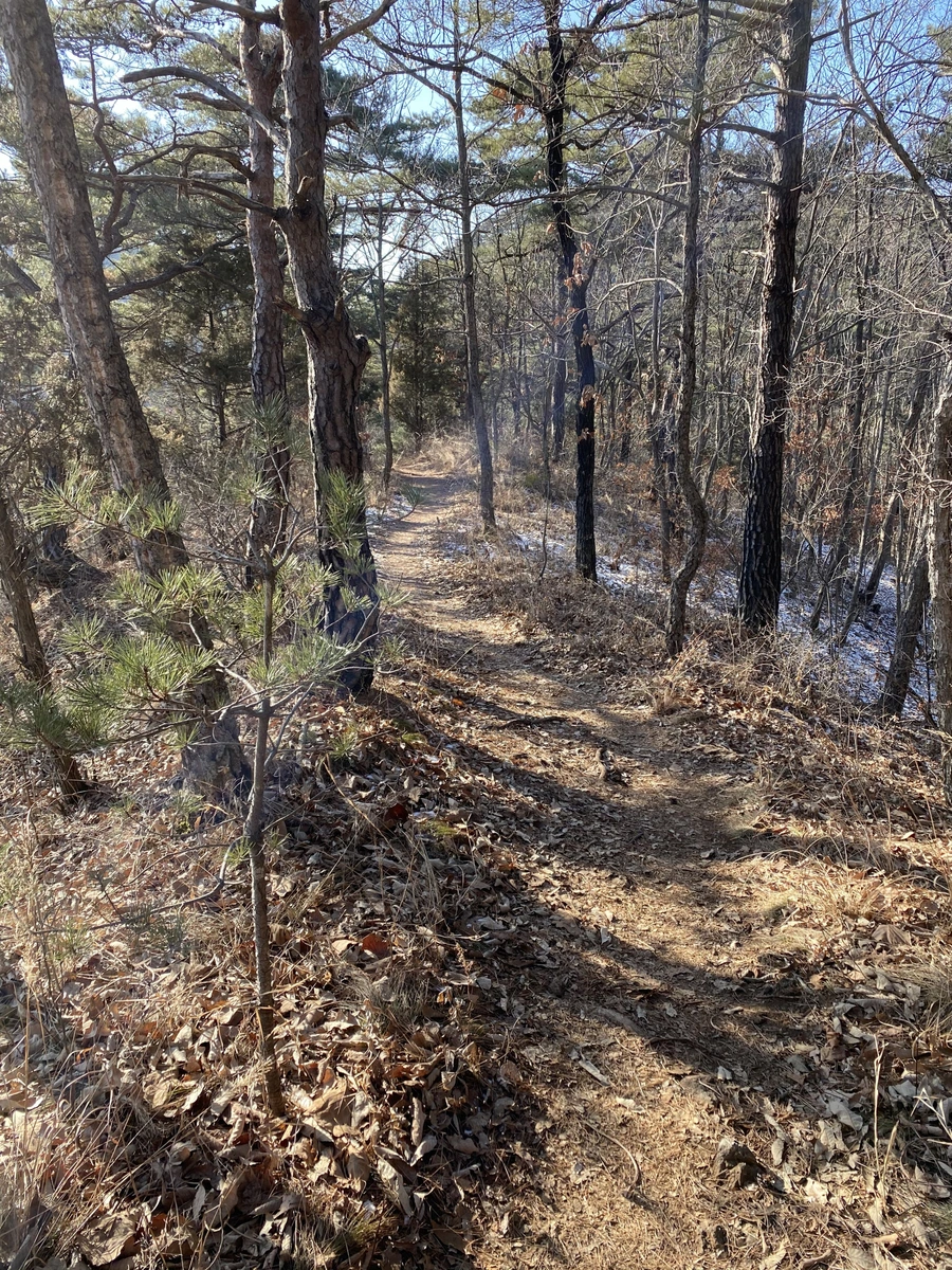 SE-56268026-7b5c-41b7-be8c-4260e5648772.jpg?type=w1