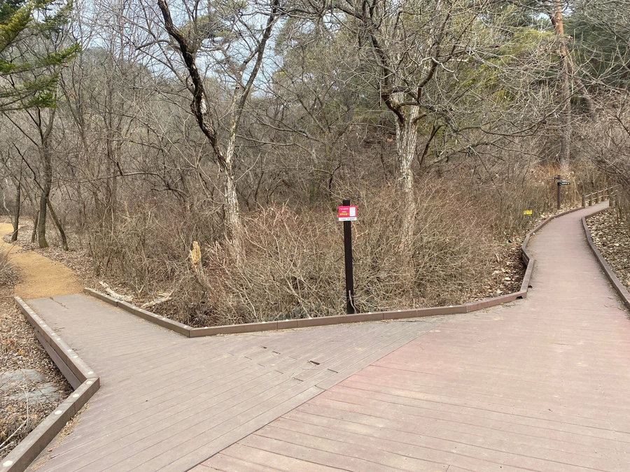 SE-c6e65ce2-80a6-4a0e-96fb-05db551520c4.jpg?type=w1