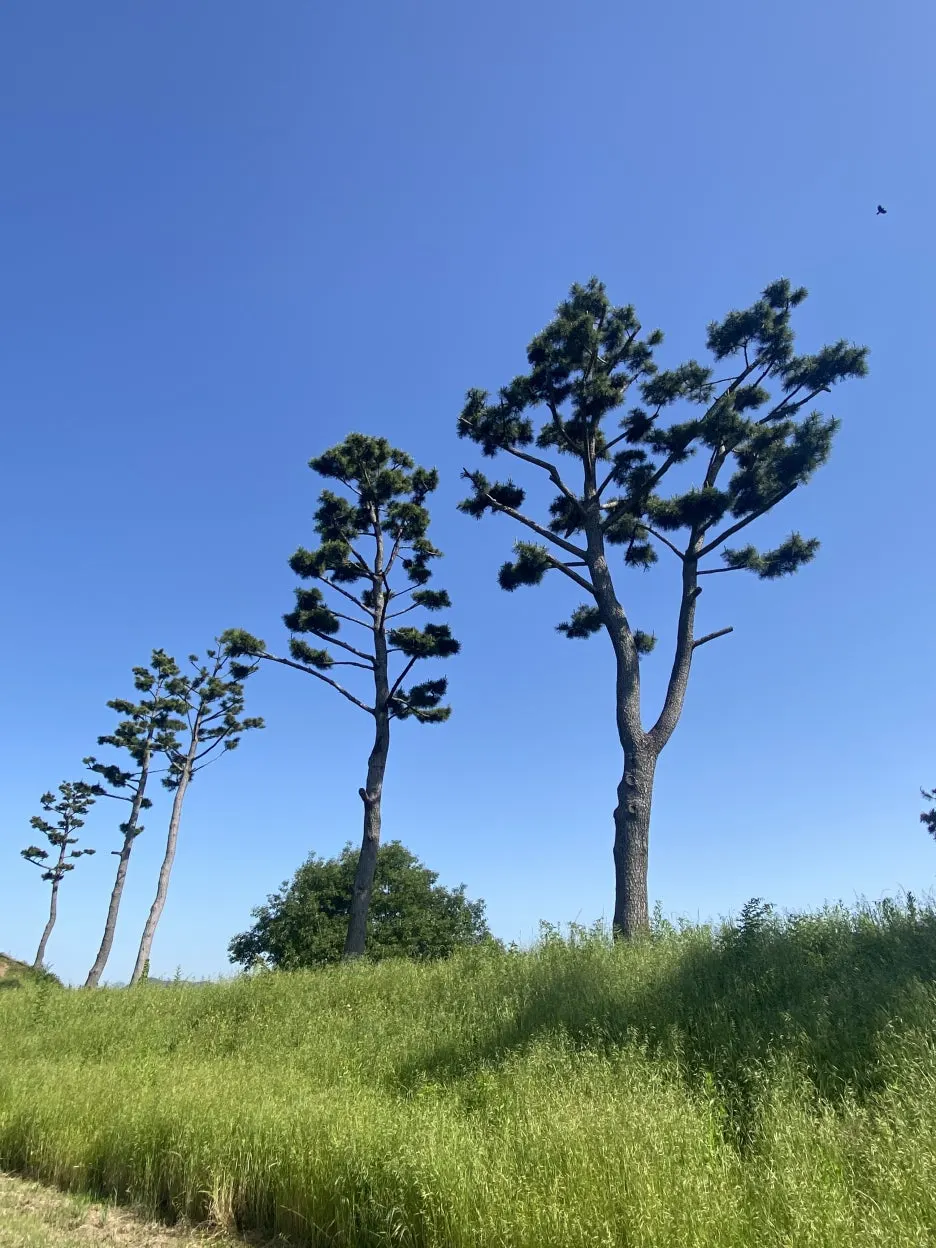 20240518_234724474_iOS.jpg?type=w1