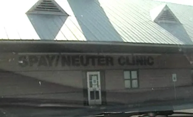 %EC%BA%A1%EC%B2%981.JPG?type=w1