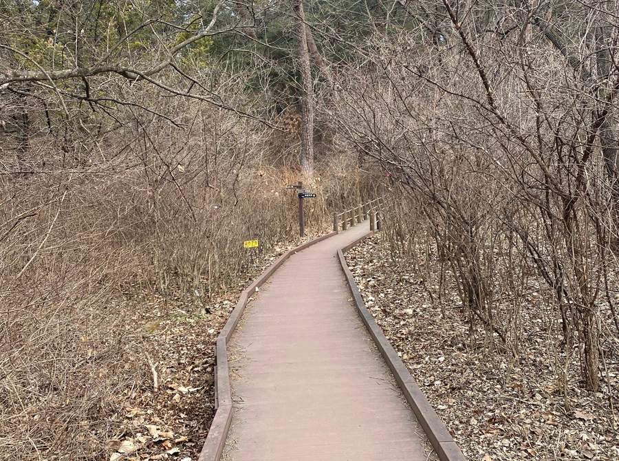 SE-d7575f0c-fd07-4932-894f-fb0cd8f0fe53.jpg?type=w1