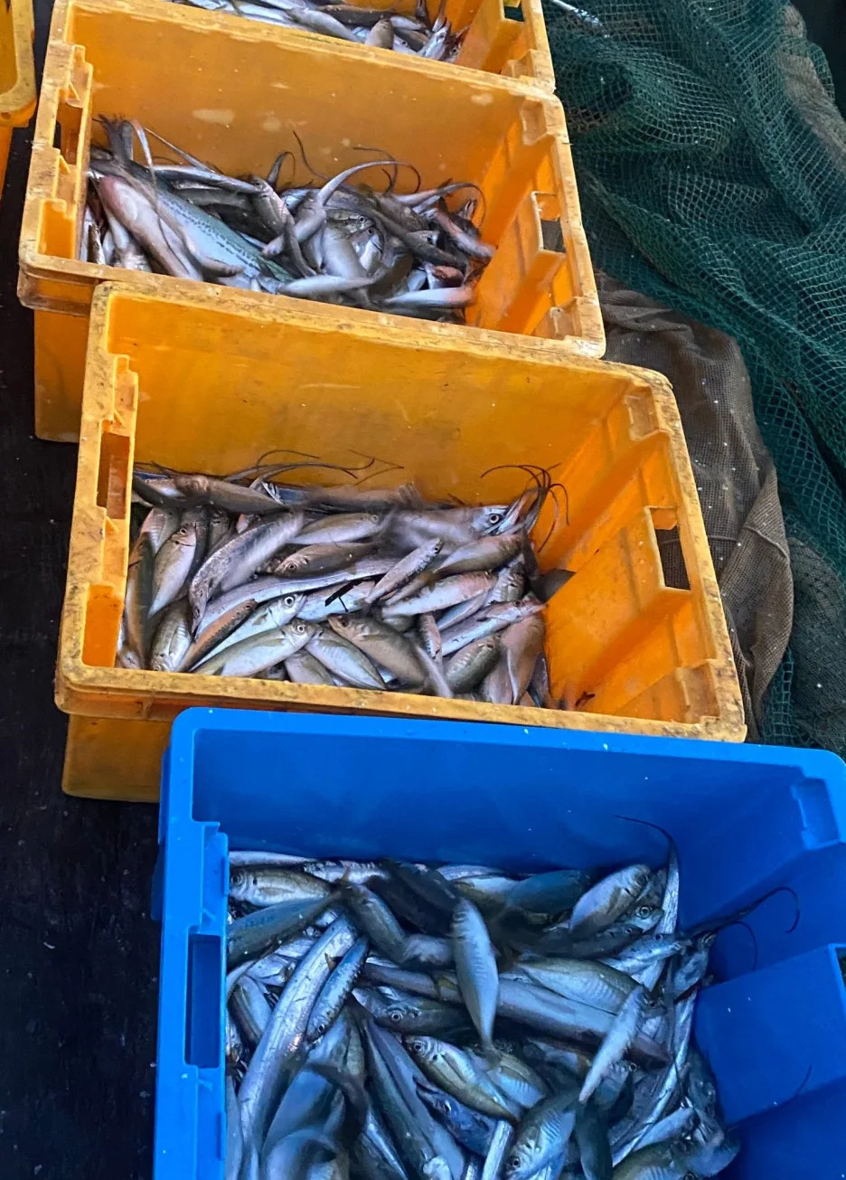 SE-f0f89636-f504-4dc7-8ef1-02df6c451655.jpg?type=w1