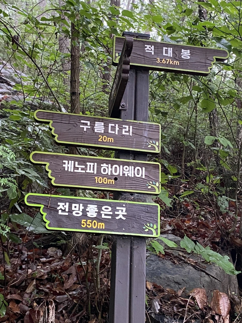 20220628_051250386_iOS.jpg?type=w1