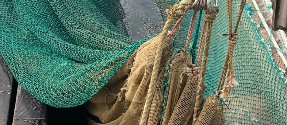 SE-a26a7d0a-daf5-4ec0-bd49-e53cf50287ba.jpg?type=w1