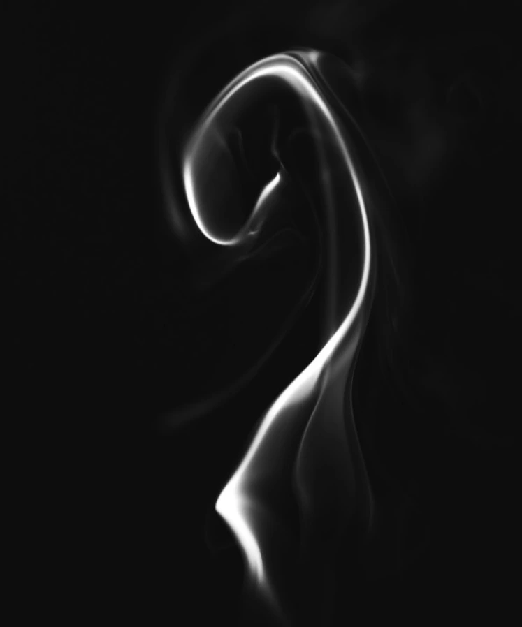 photo-1628107628986-60ec506745ec.jpg?type=w1