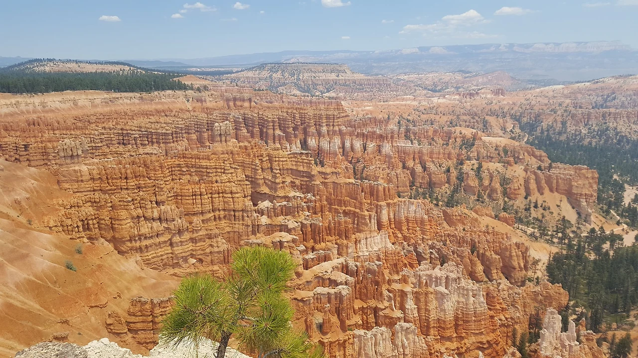 ACtC-3e-YKPUqf2NwJ1KksRhFByDofMSubDqLTsFXH-VZOCu5CsvTzHvLIkcyEs7UhWtkRUMKo_8hpqmdfIbuxYKg-gMFG-YCiubZegShLZc6B1-rhNg29Yo6-3NlHWdLChREzxTDAONiFX7-Nb5p9UC8xxg=w1794-h1009-no?authuser=0