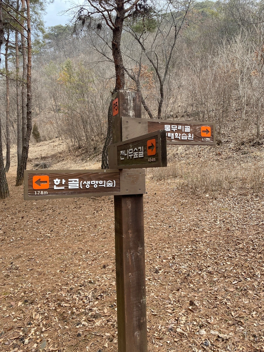 SE-0ebe6419-05cc-4de6-aa6b-f0b1d92f01a6.jpg?type=w1