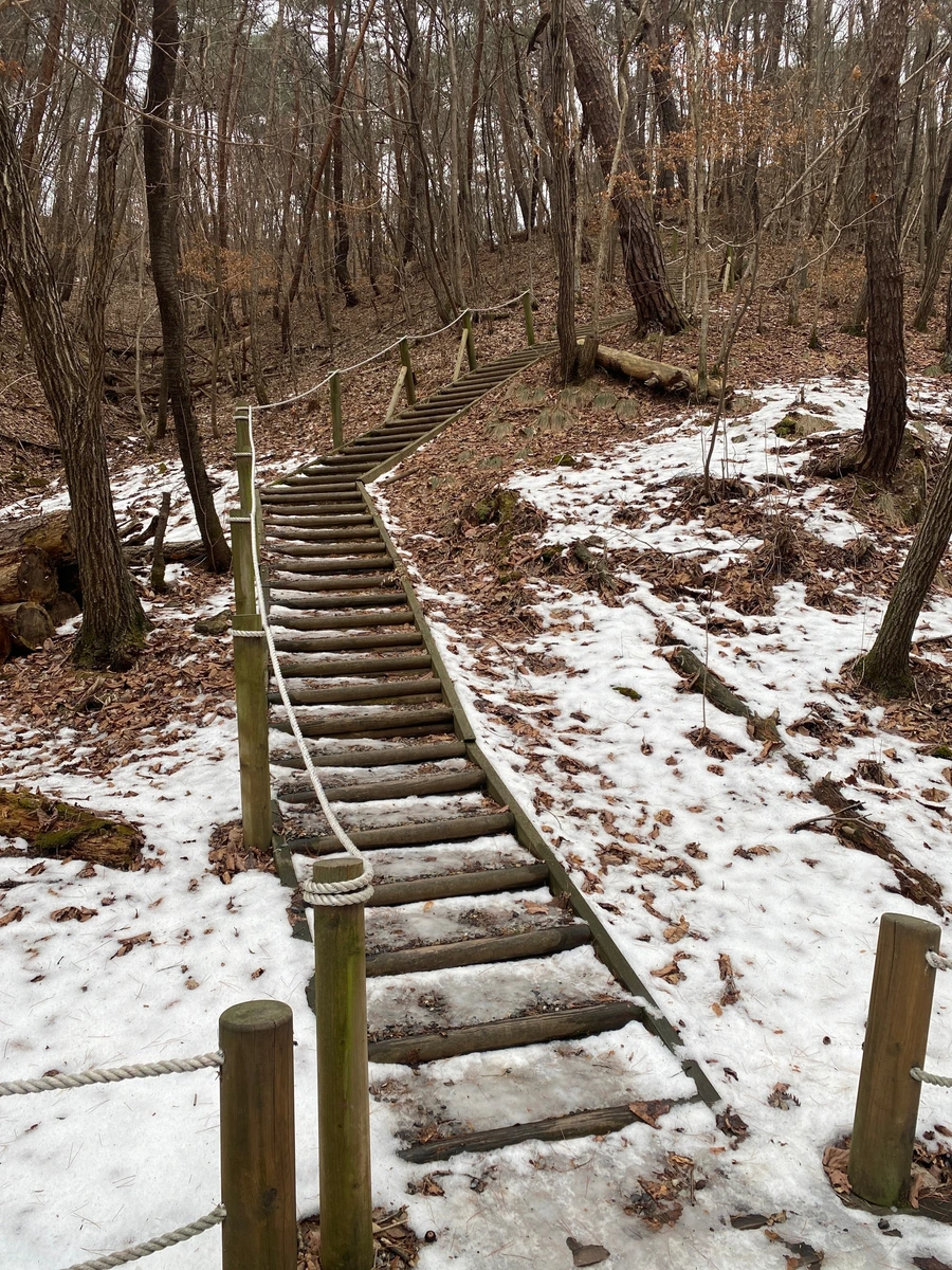 SE-64f68d83-4c6e-4c05-9014-b11b1ce9aa28.jpg?type=w1