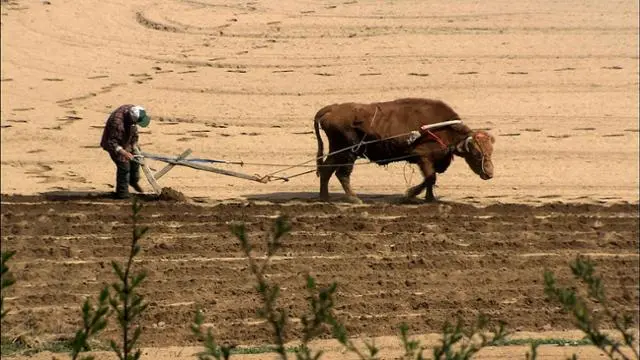 %EC%9B%8C%EB%82%AD%EC%86%8C%EB%A6%AC.jpg?type=w1