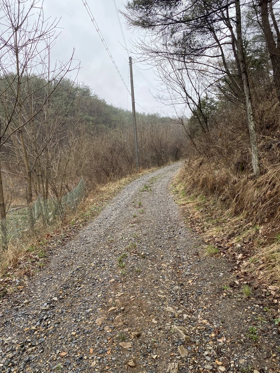 20210403_033119611_iOS.jpg?type=w1