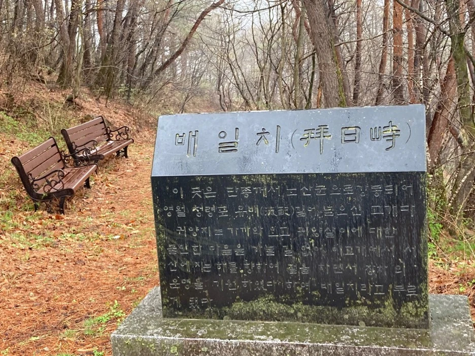 20210409_000406699_iOS.jpg?type=w1