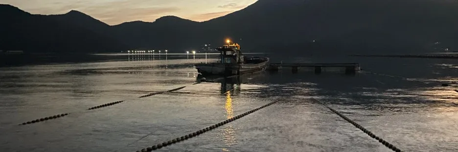 SE-c8413f9f-4812-4b2f-806a-0d455f0a4599.jpg?type=w1