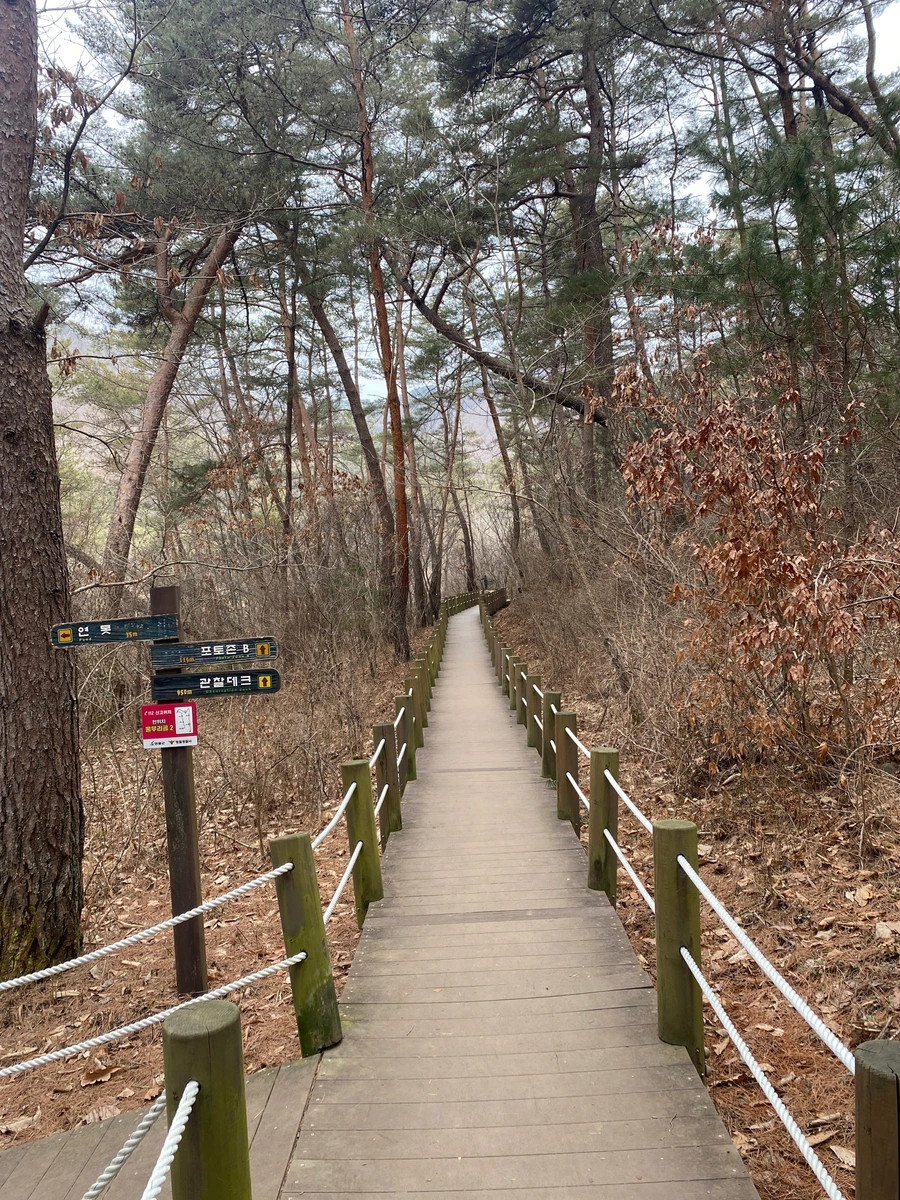 SE-6cd47917-5c2b-4a64-ba27-dc2bc4a4599b.jpg?type=w1