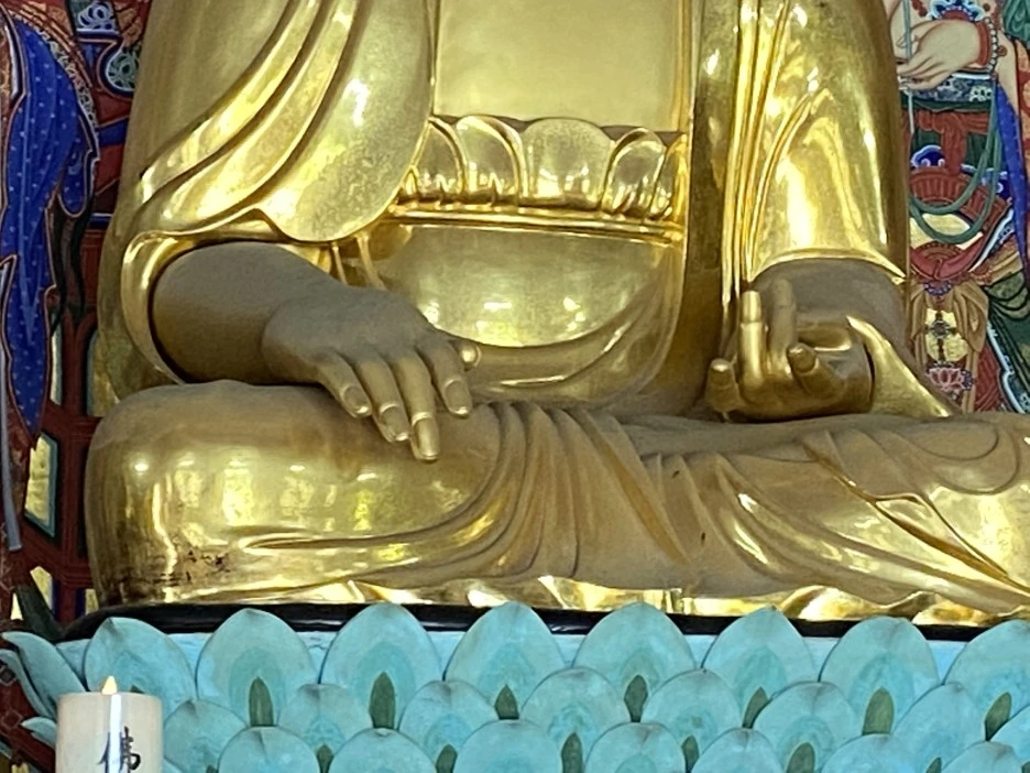 20220627_021851540_iOS.jpg?type=w1