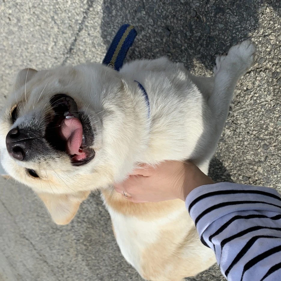 KakaoTalk_20200112_211421032.jpg?type=w1