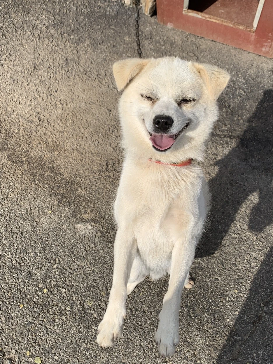 KakaoTalk_20200112_211419230.jpg?type=w1