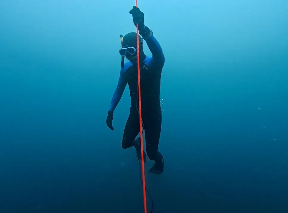 %E3%85%87.jpg?type=w966