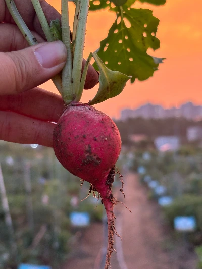 부부싸움, 화해, 결혼, 이혼.JPG