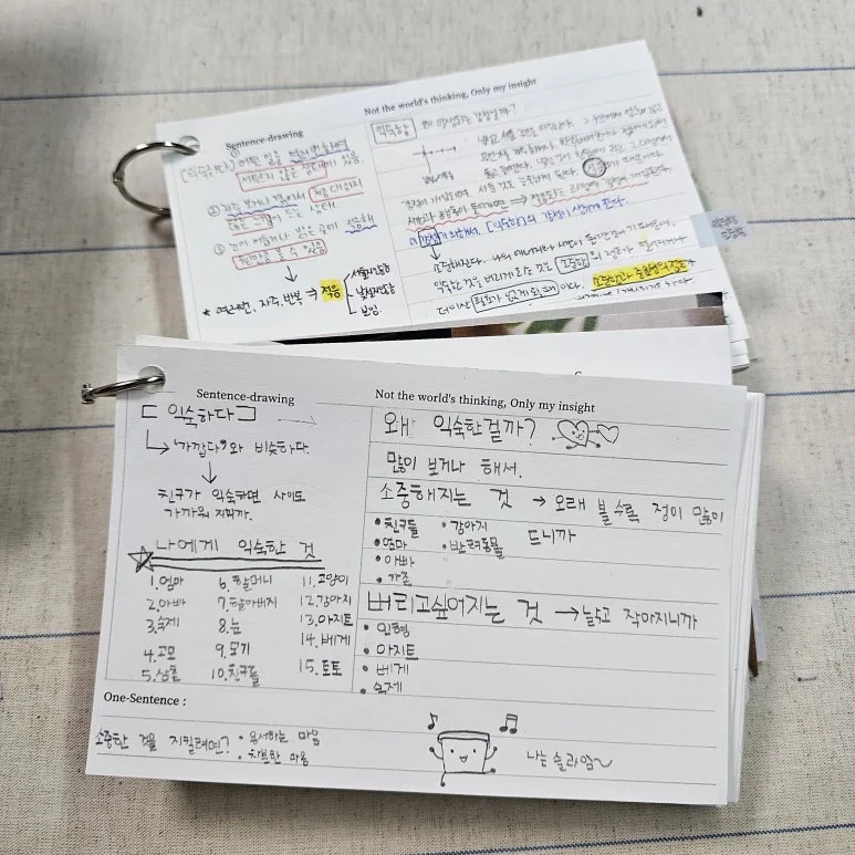 KakaoTalk_20241214_224026853.jpg?type=w773