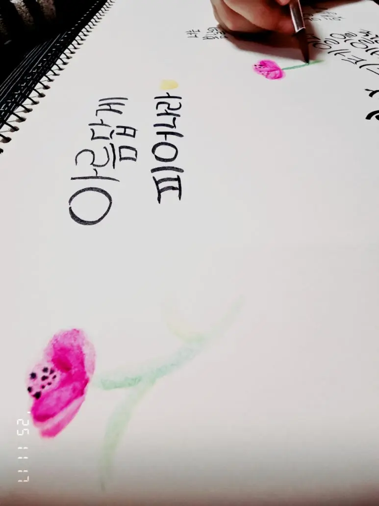 900%EF%BC%BFFilmCam%EF%BC%BFGRN%EF%BC%BF20251117%EF%BC%BF213936651.jpg?type=w773