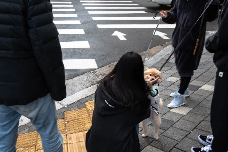 DSC_1498.jpg?type=w1