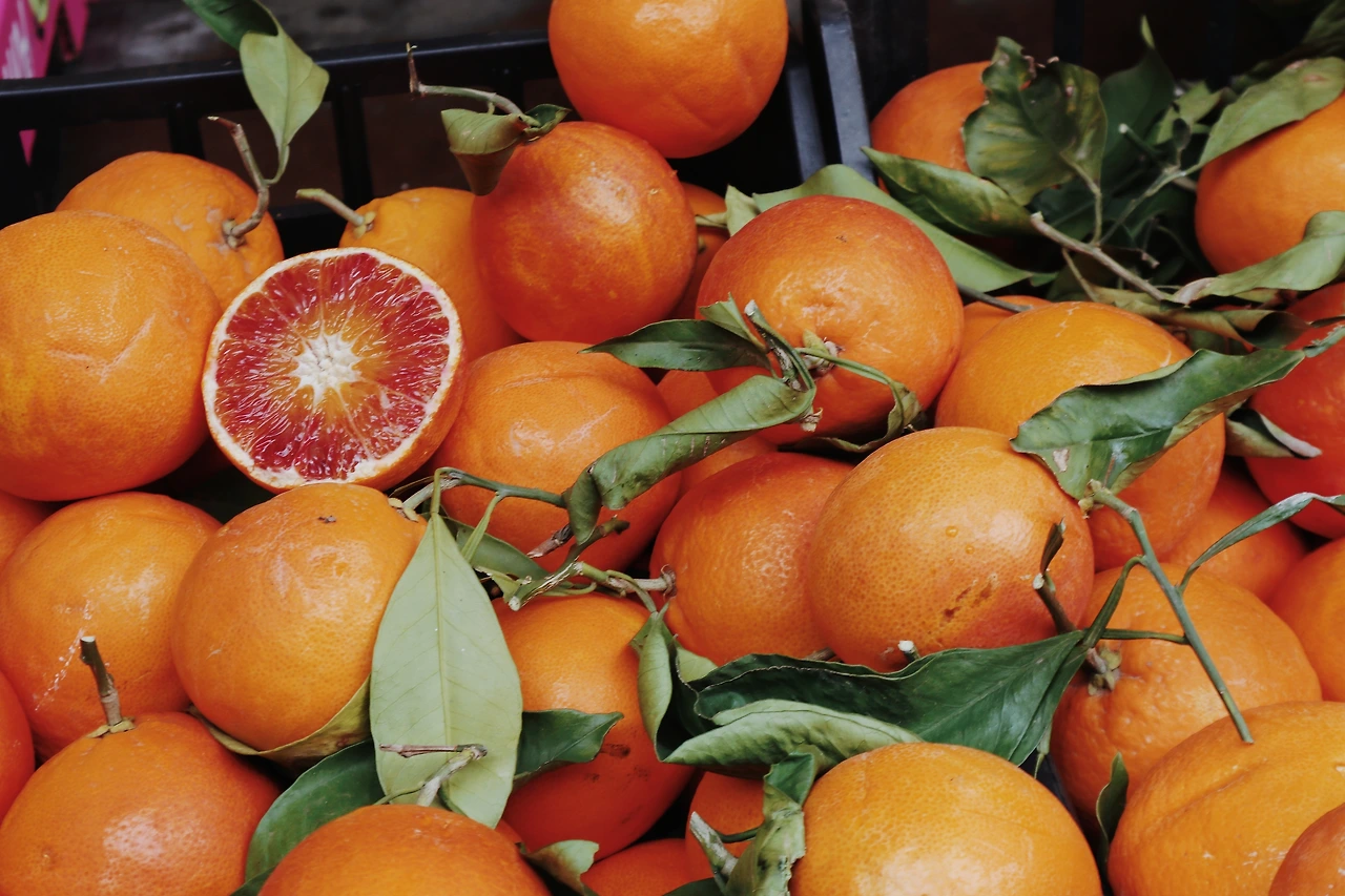 20240220192116_IMG_9172 (1).JPG