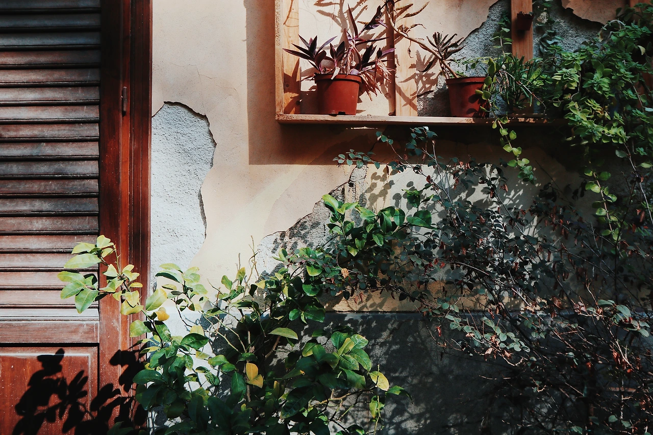 20240222215754_IMG_9878 (1).JPG